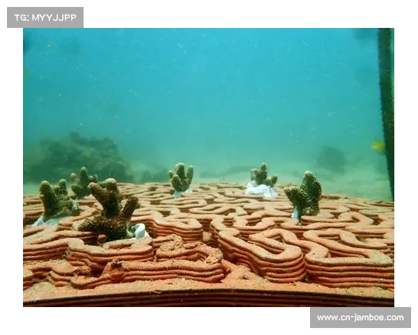 新加坡泳协研发蝶泳划水轨迹追踪系统 实现技术动作3D重建创新突破