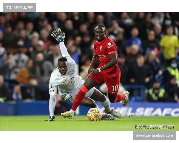 切尔西球场草皮备受称赞